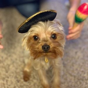 Meet your Posher, Kenneth